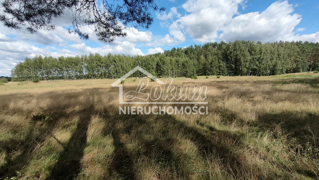 Działka rolna 3182&nbsp;m², Komarowo - zdjęcie 3