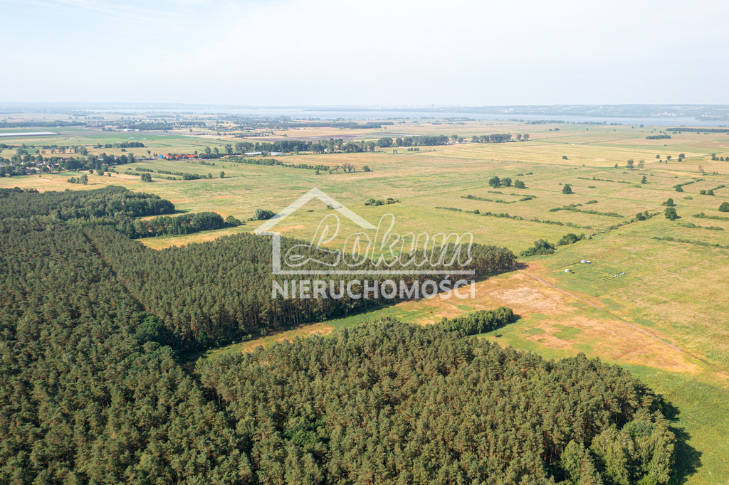 Działka rolna 3182 m², Komarowo - zdjęcie 3