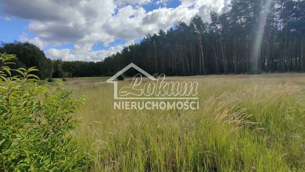 Działka rolna 3182 m², Komarowo - zdjęcie 4