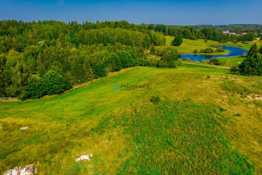 Duża działka w Starej Hucie - zdjęcie 7