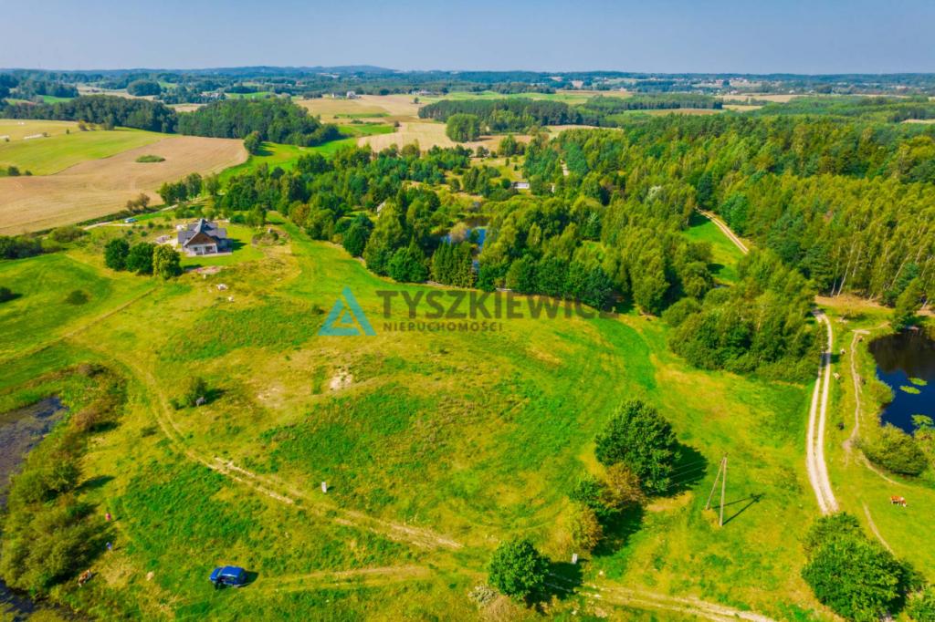 Duża działka w Starej Hucie - zdjęcie 8