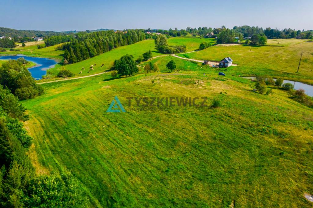 Duża działka w Starej Hucie - zdjęcie 13