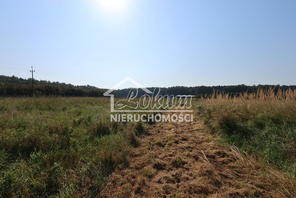 Działka budowlana 3194&nbsp;m², Modrzewie - zdjęcie 8