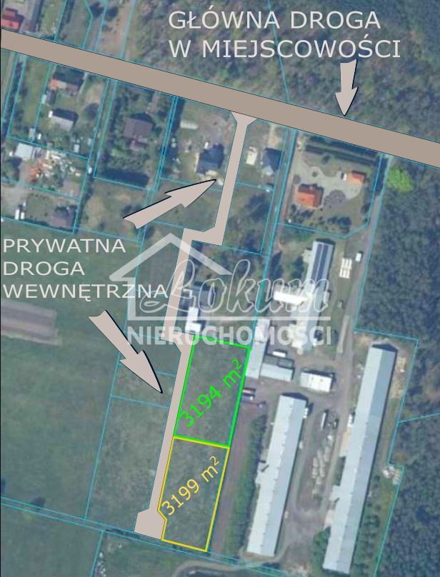 Działka budowlana 3194&nbsp;m², Modrzewie - zdjęcie 4