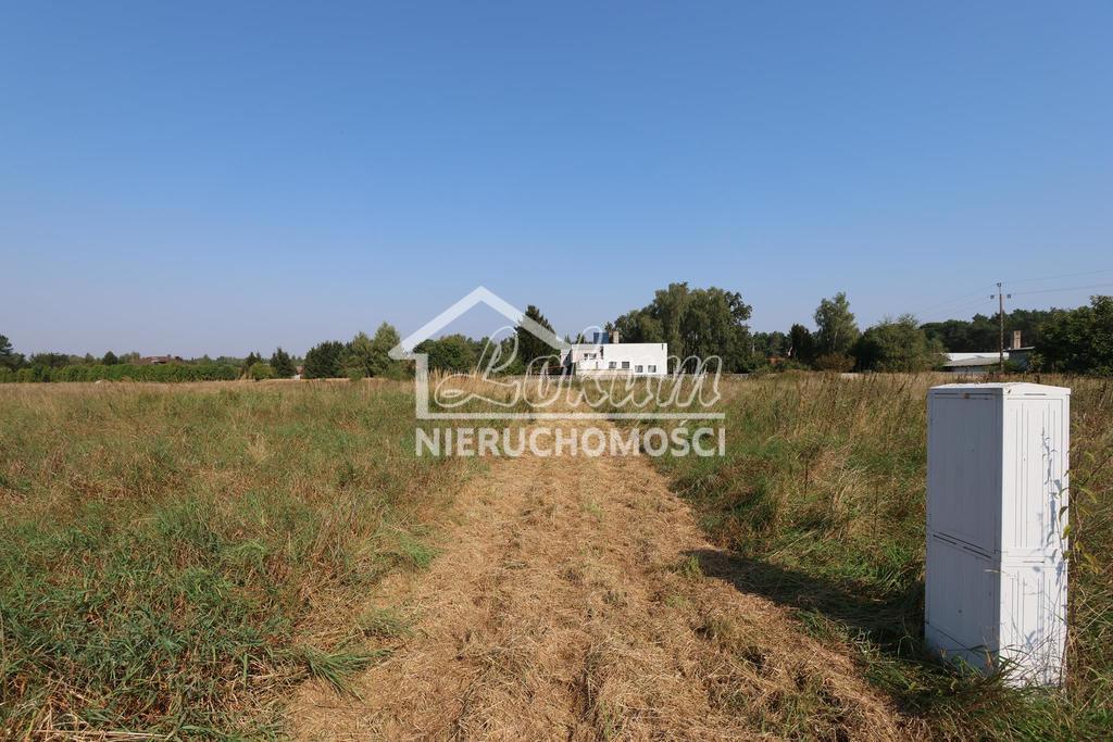 Działka budowlana 3194&nbsp;m², Modrzewie - zdjęcie 7