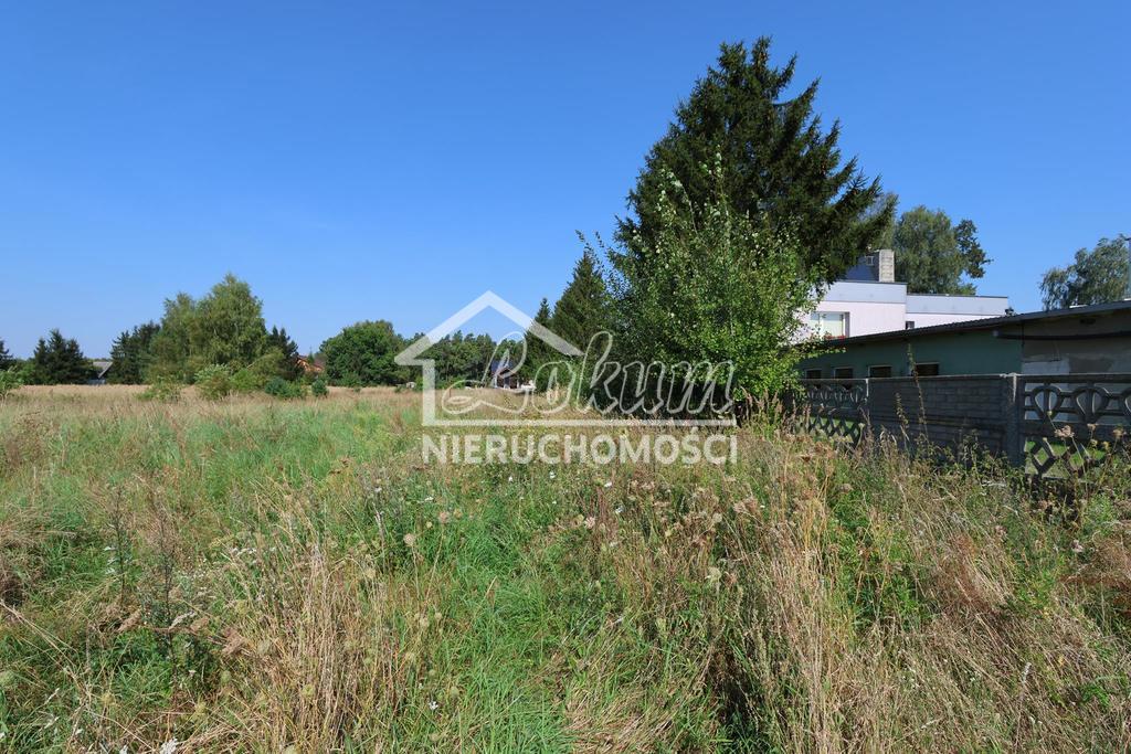 Działka budowlana 1050&nbsp;m², Modrzewie - zdjęcie 3