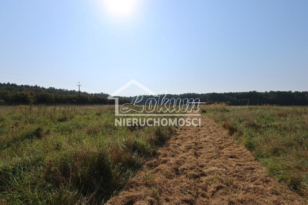 Działka budowlana 1050&nbsp;m², Modrzewie - zdjęcie 7