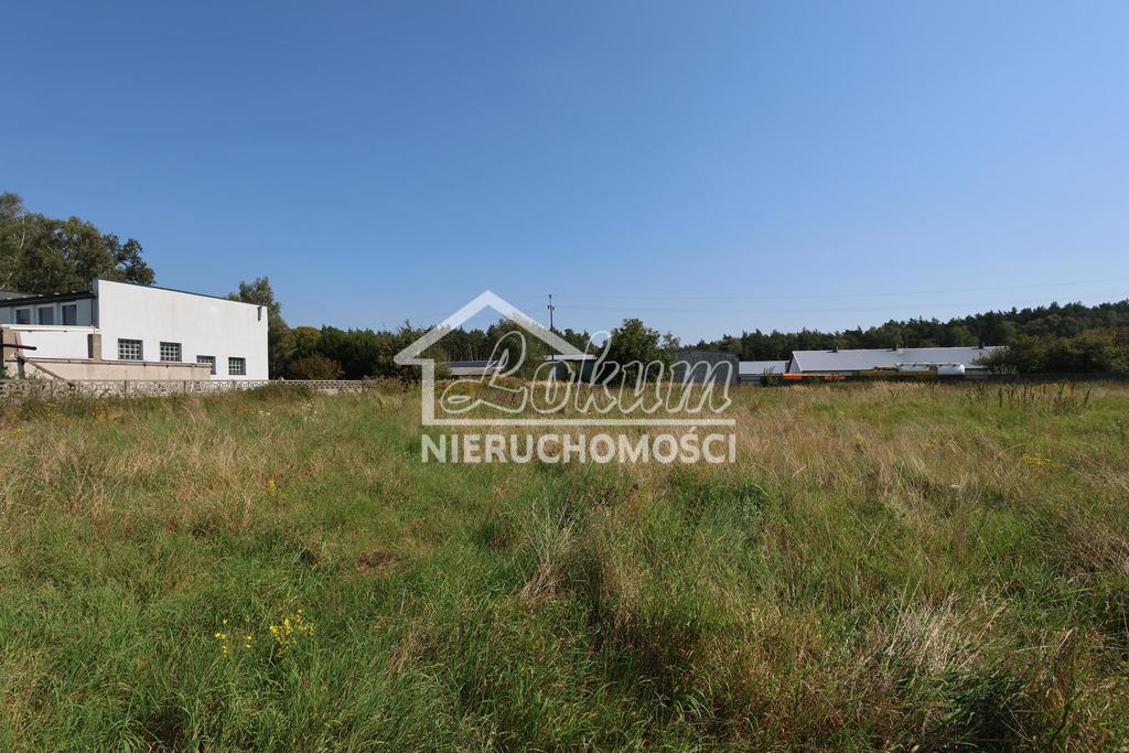 Działka budowlana 1050&nbsp;m², Modrzewie - zdjęcie 6