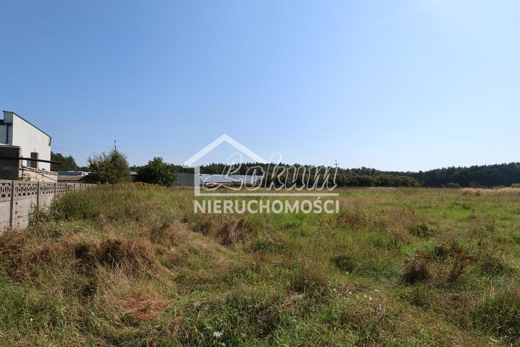 Działka budowlana 1050&nbsp;m², Modrzewie - zdjęcie 5