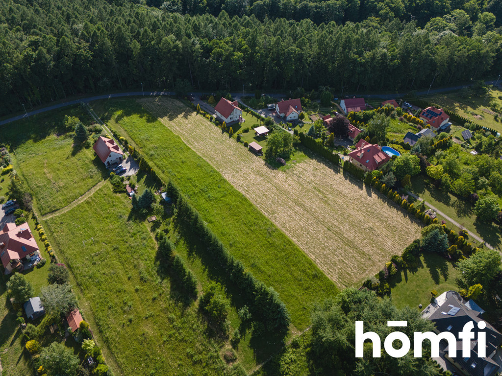 Działka rolna 1023 m², Dybawka - zdjęcie 17