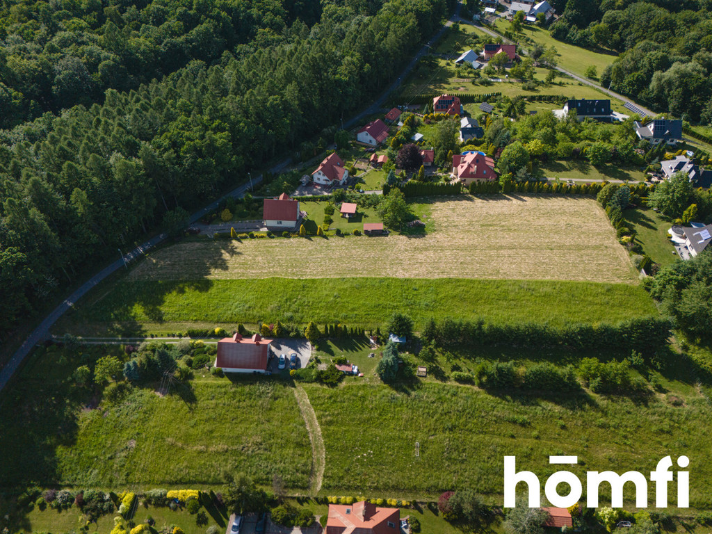 Działka rolna 1023 m², Dybawka - zdjęcie 2