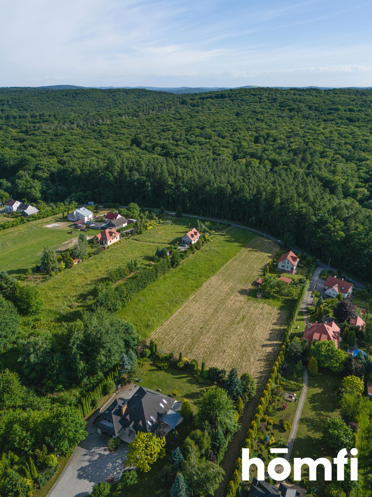 Działka rolna 1023 m², Dybawka - zdjęcie 3