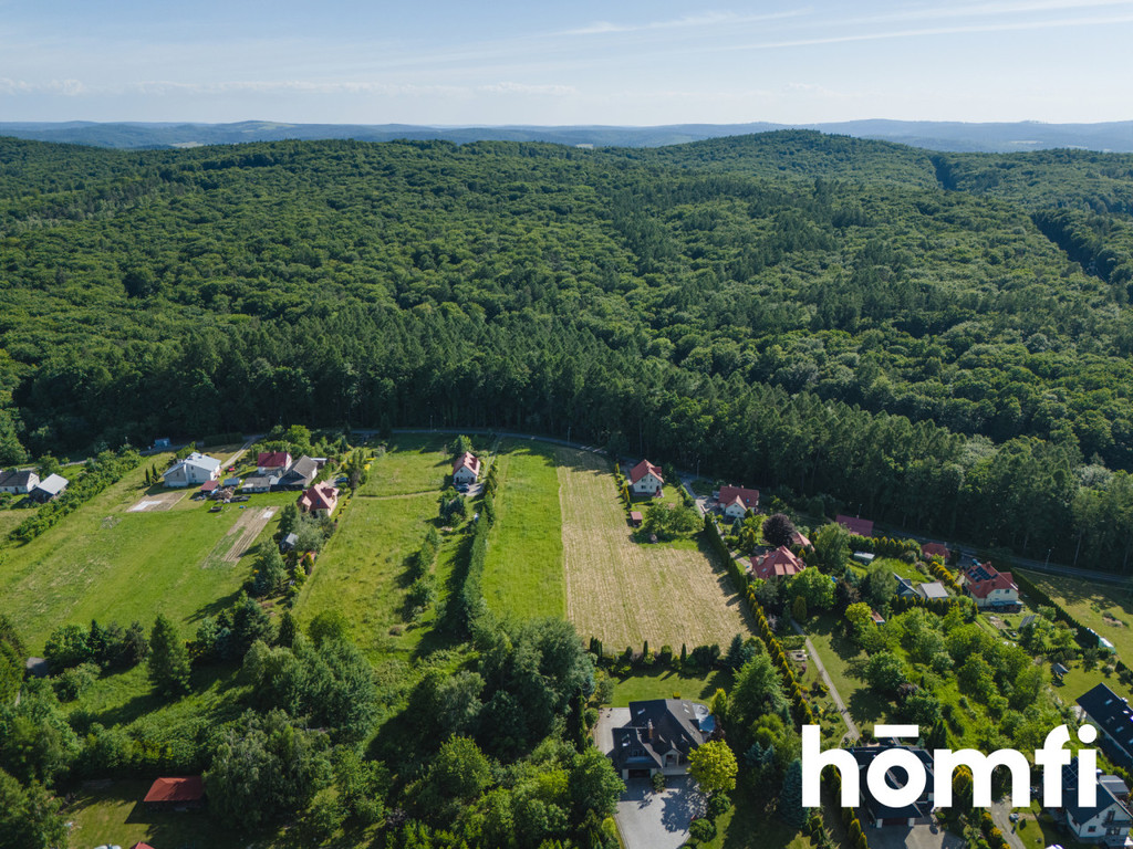 Działka rolna 1023 m², Dybawka - zdjęcie 13