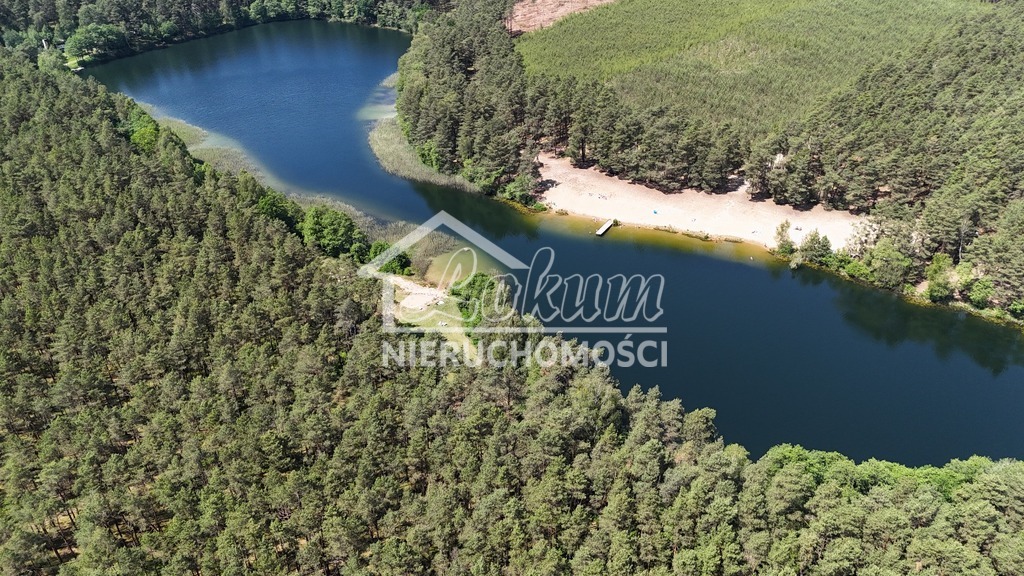 Działka rolna 19,00&nbsp;ha, Byszyno - zdjęcie 5