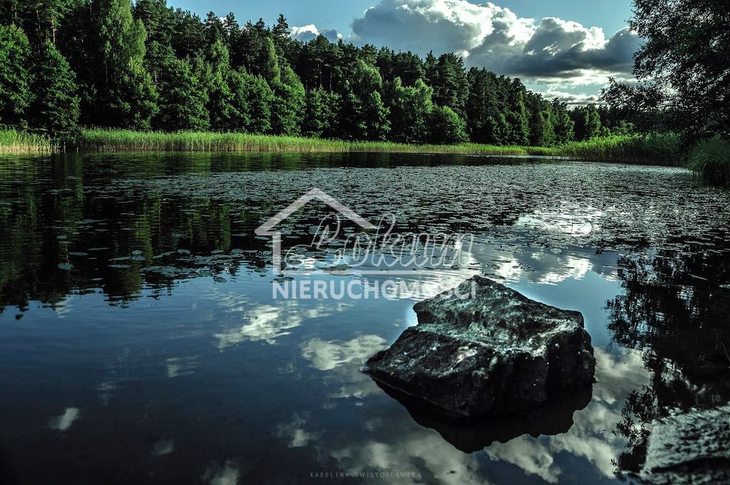 Działka rolna 19,00&nbsp;ha, Byszyno - zdjęcie 11