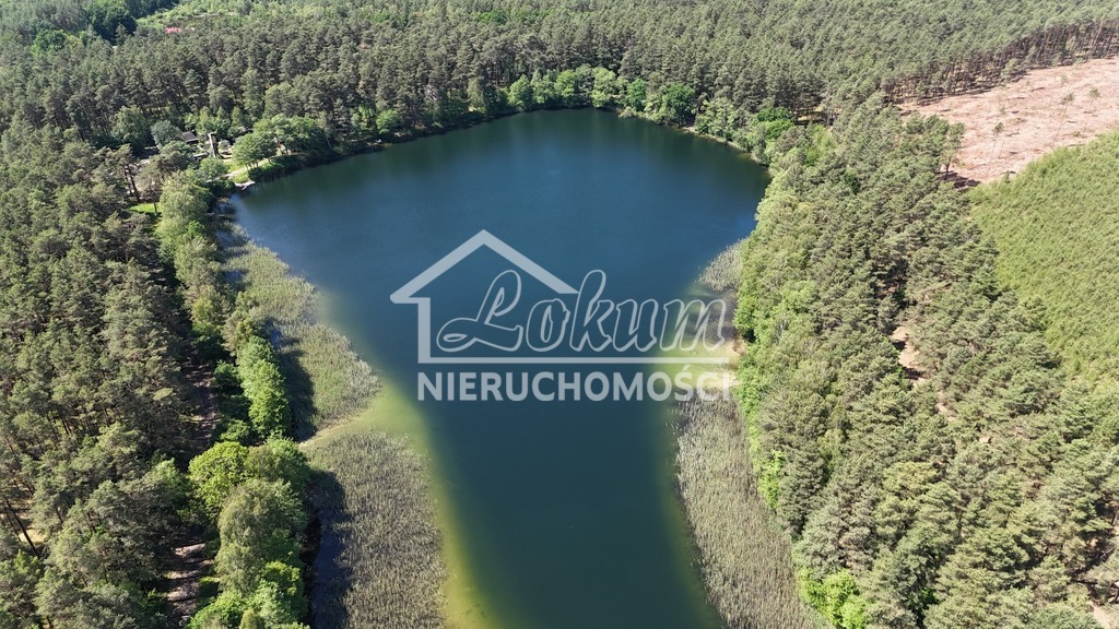Działka rolna 19,00&nbsp;ha, Byszyno - zdjęcie 7