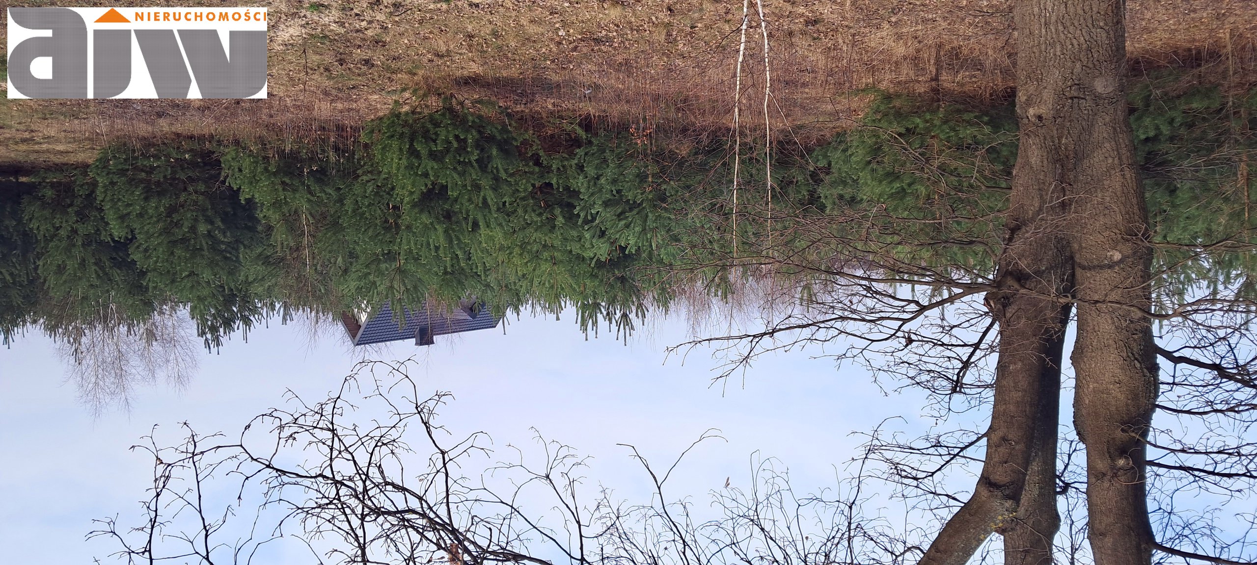 Działka wśród sosen na dom mieszkalny z potencjałem usługowym/ handlowym. Łajski powiat Legionowski - zdjęcie 4