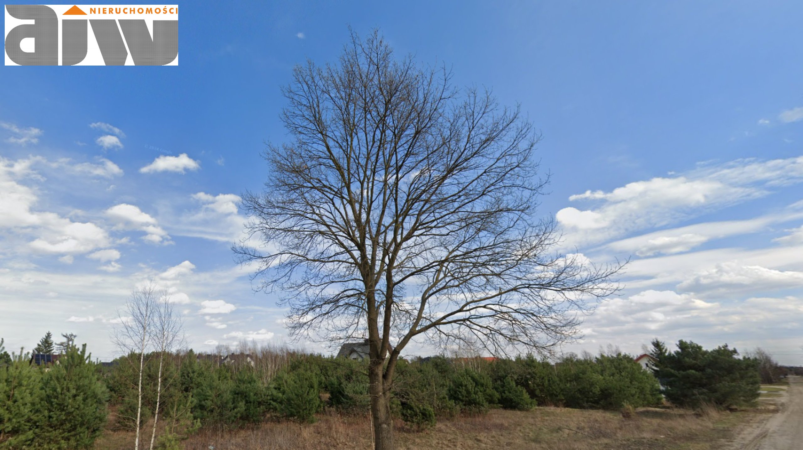 Działka wśród sosen na dom mieszkalny z potencjałem usługowym/ handlowym. Łajski powiat Legionowski - zdjęcie 1