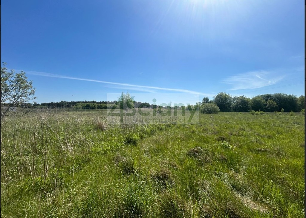 Działka budowlana 1450&nbsp;m², Stara Wieś - zdjęcie 1