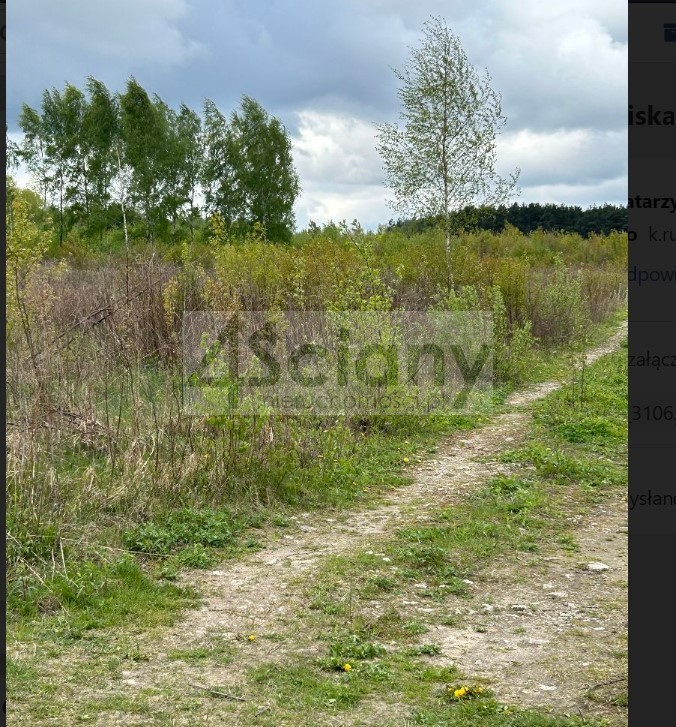 Działka budowlana 1450&nbsp;m², Stara Wieś - zdjęcie 3