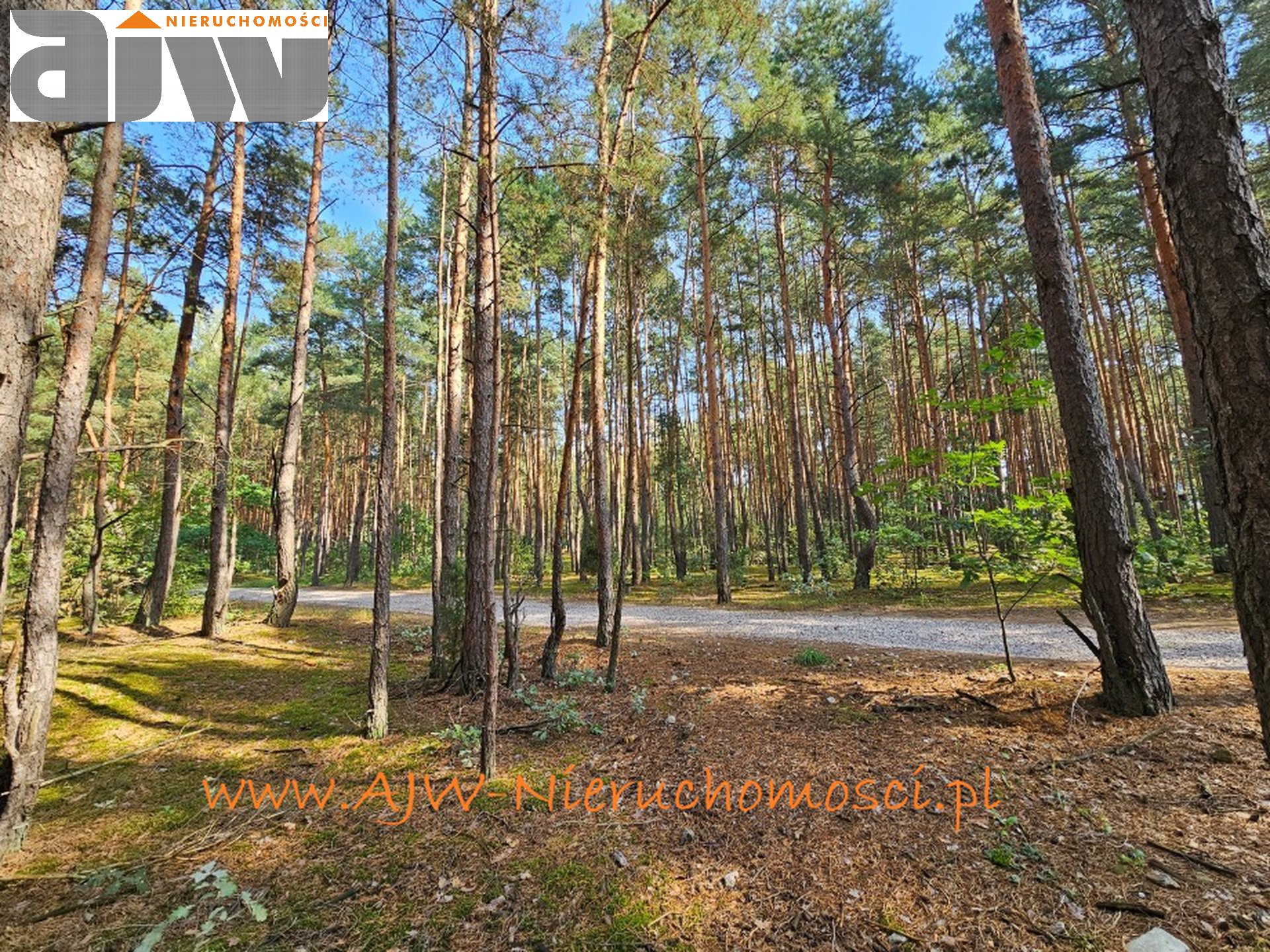 Hornówek urokliwa, reprezentacyjna działka 1485 m2 - zdjęcie 6