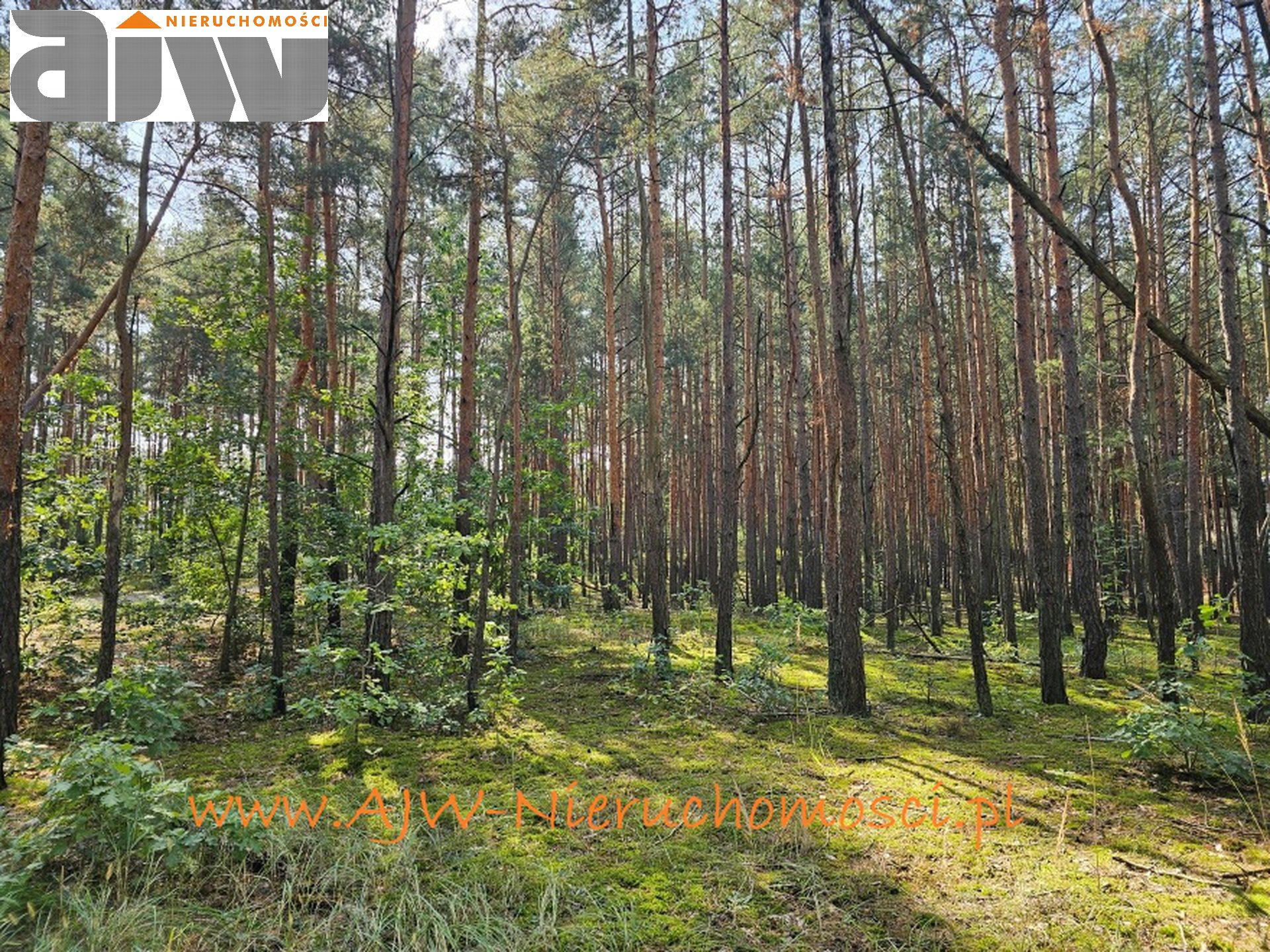 Hornówek urokliwa, reprezentacyjna działka 1485 m2 - zdjęcie 7