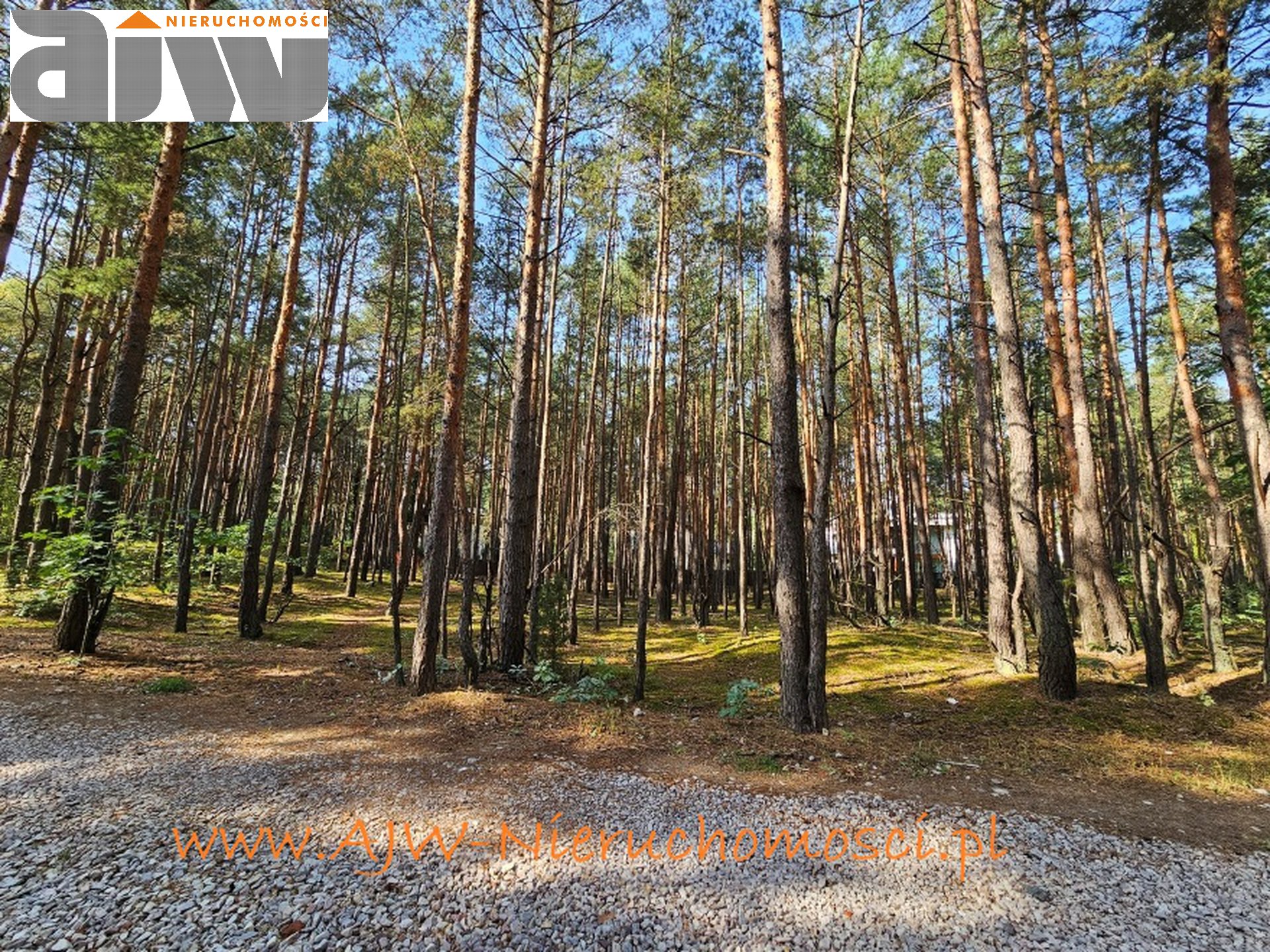 Hornówek urokliwa, reprezentacyjna działka 1485 m2 - zdjęcie 4