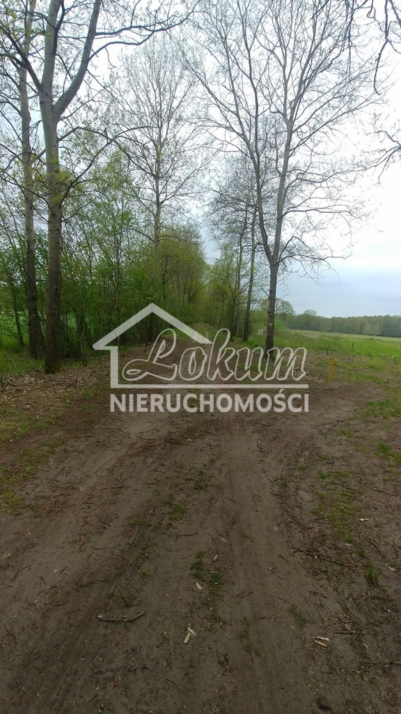 Działka budowlana 3210 m², Rzędziny - zdjęcie 6