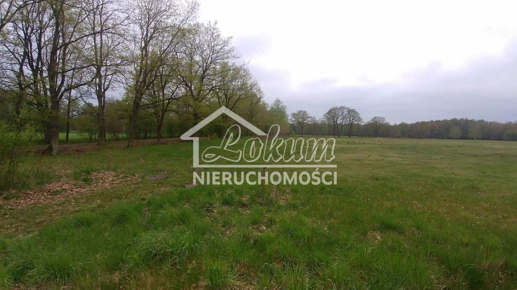 Działka budowlana 3210 m², Rzędziny - zdjęcie 2
