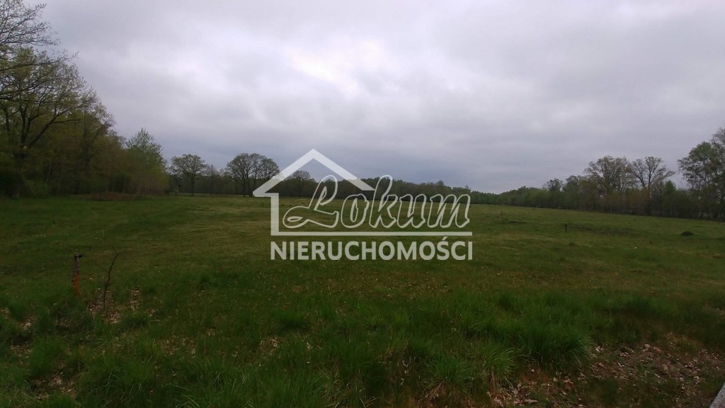 Działka budowlana 3210 m², Rzędziny - zdjęcie 3