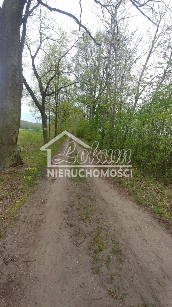 Działka budowlana 3210 m², Rzędziny - zdjęcie 7