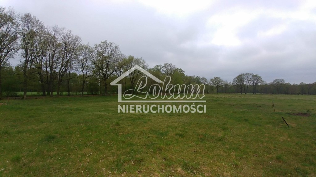 Działka budowlana 3210 m², Rzędziny - zdjęcie 5