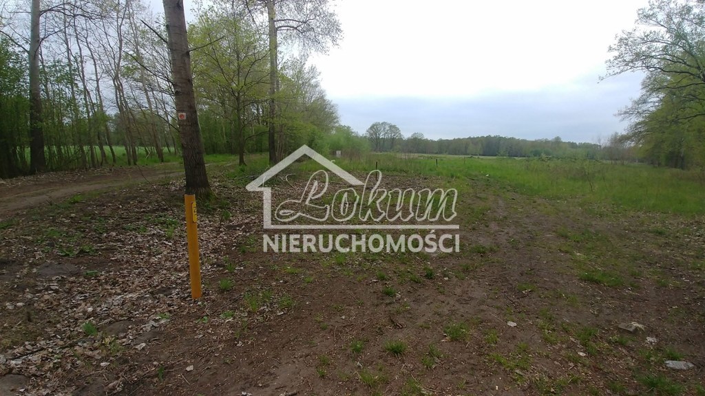 Działka budowlana 3210 m², Rzędziny - zdjęcie 1