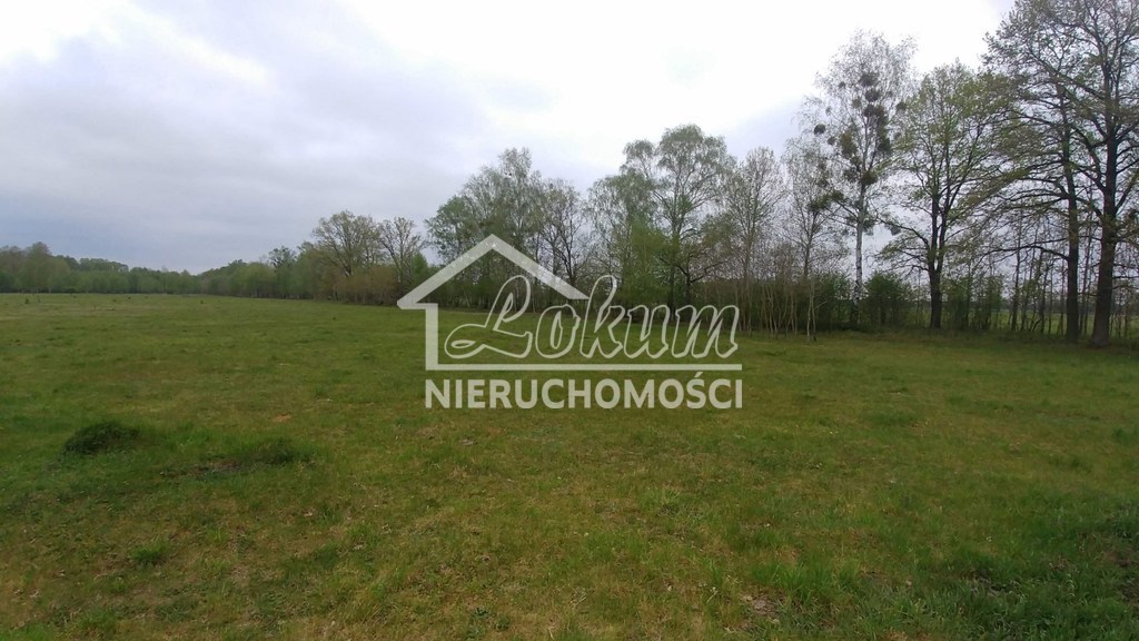 Działka budowlana 3210 m², Rzędziny - zdjęcie 4