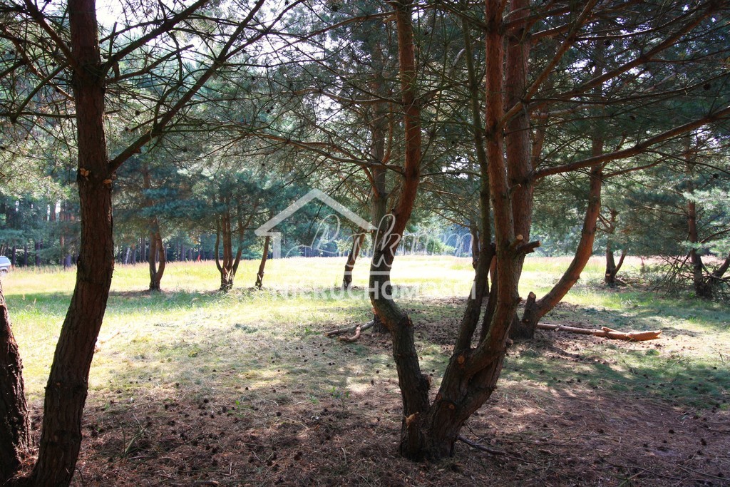 Działka rolna 1960&nbsp;m², Szczecin, Żywiczna - zdjęcie 4