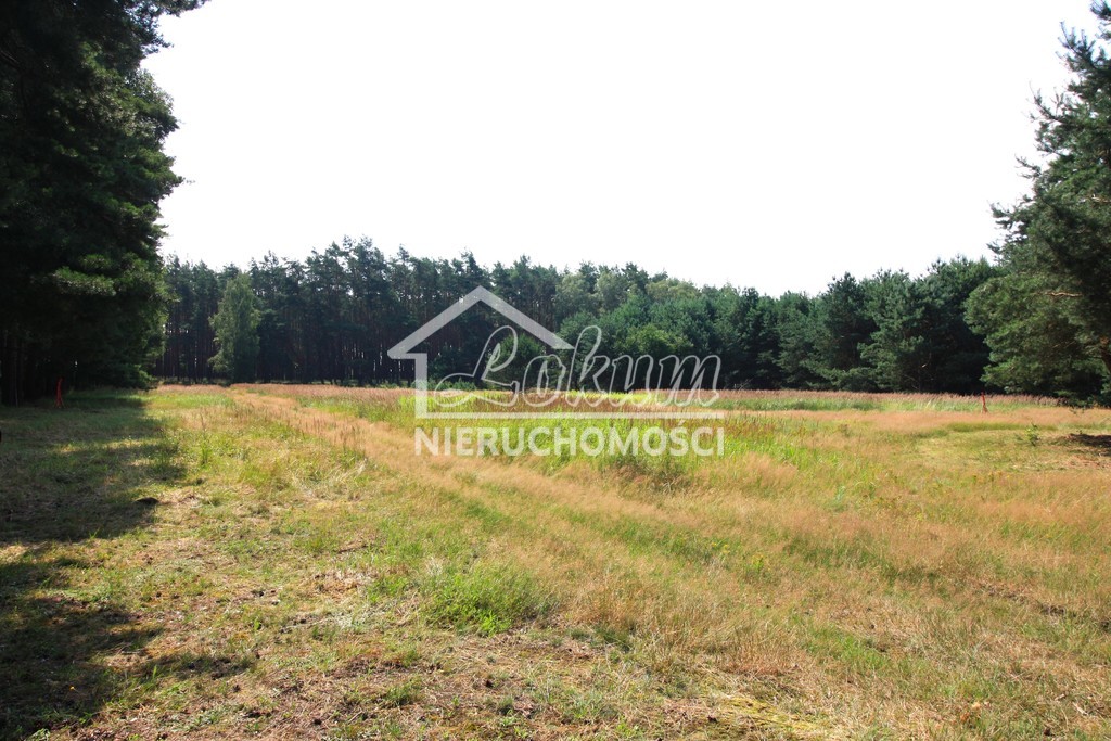 Działka rolna 1960&nbsp;m², Szczecin, Żywiczna - zdjęcie 5