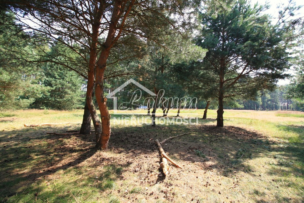 Działka rolna 1960&nbsp;m², Szczecin, Żywiczna - zdjęcie 6