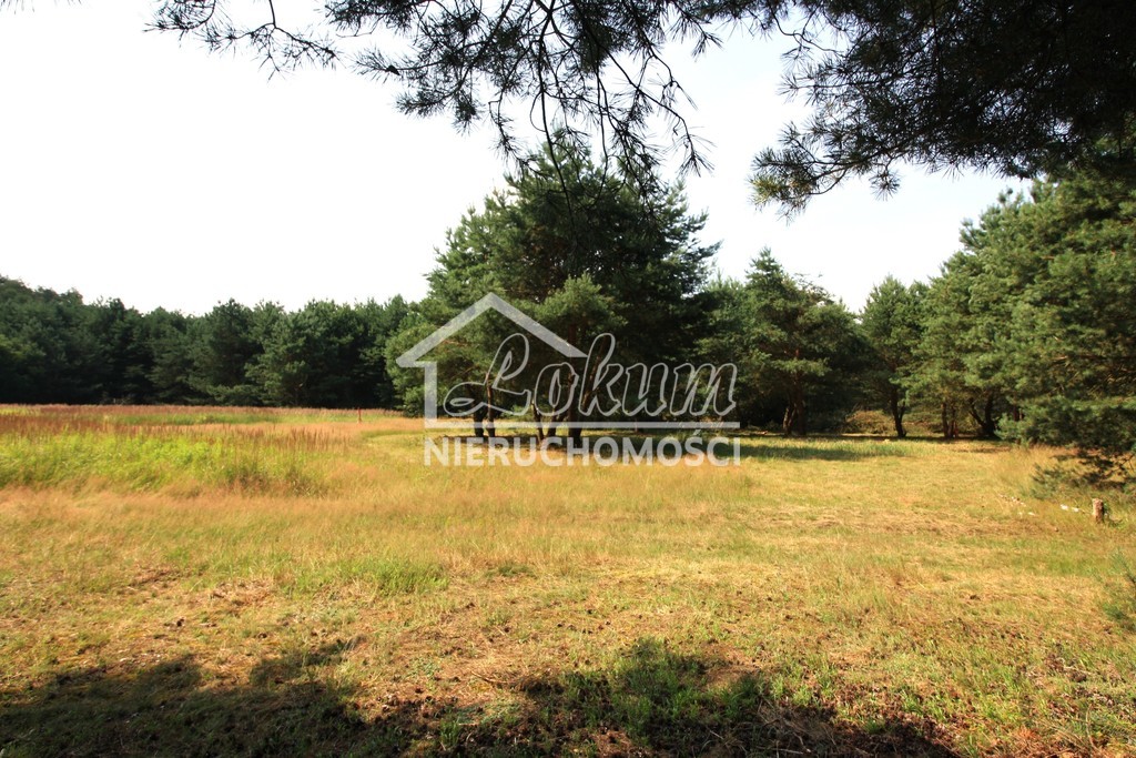 Działka rolna 1960&nbsp;m², Szczecin, Żywiczna - zdjęcie 2