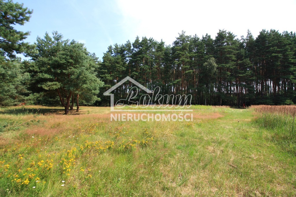 Działka rolna 1960&nbsp;m², Szczecin, Żywiczna - zdjęcie 1