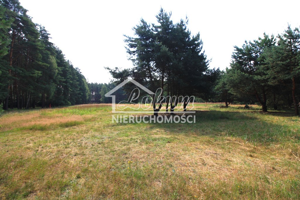 Działka rolna 1960&nbsp;m², Szczecin, Żywiczna - zdjęcie 3