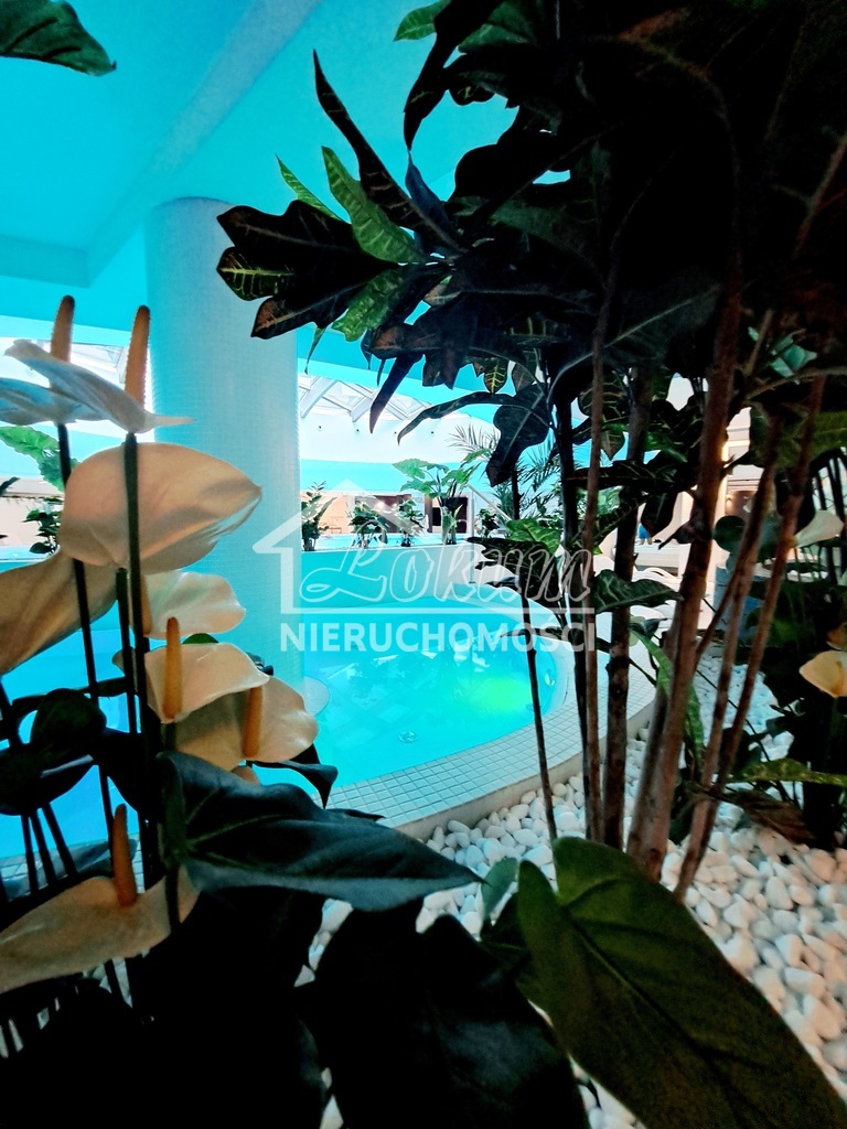 Mieszkanie 34,5&nbsp;m², Szczecin - zdjęcie 15