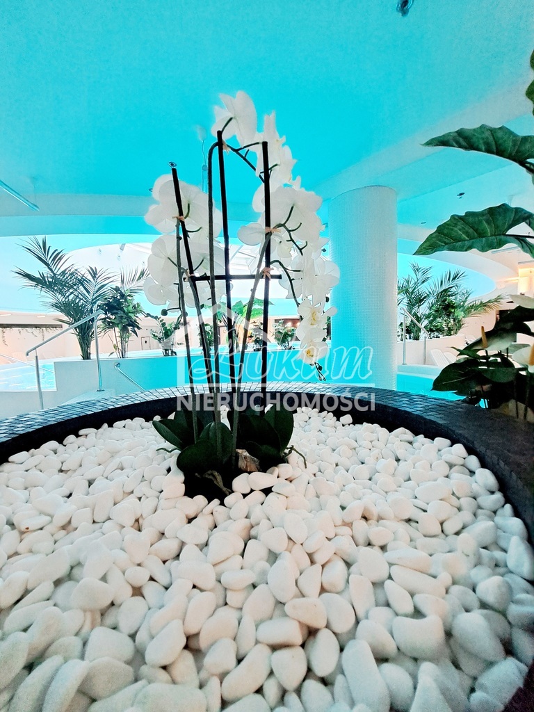 Mieszkanie 34,5&nbsp;m², Szczecin - zdjęcie 14