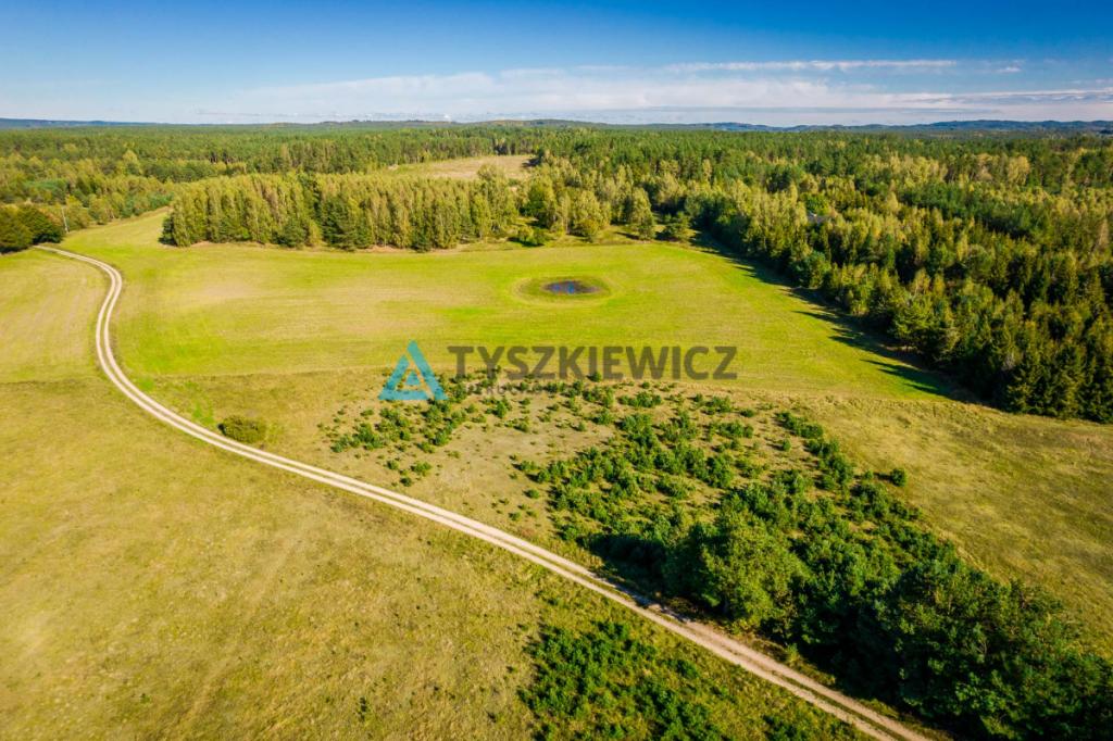 Działka o powierzchni 5,30 ha w gminie Kościerzyna - zdjęcie 10