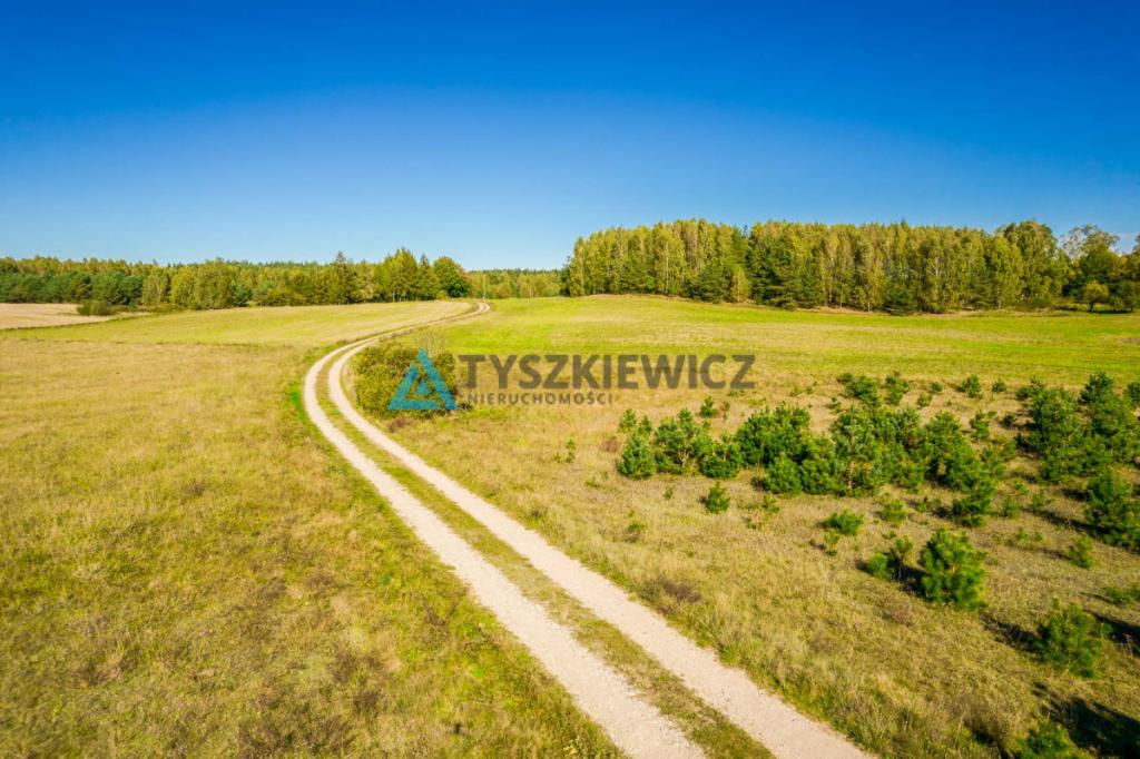Działka o powierzchni 5,30 ha w gminie Kościerzyna - zdjęcie 12