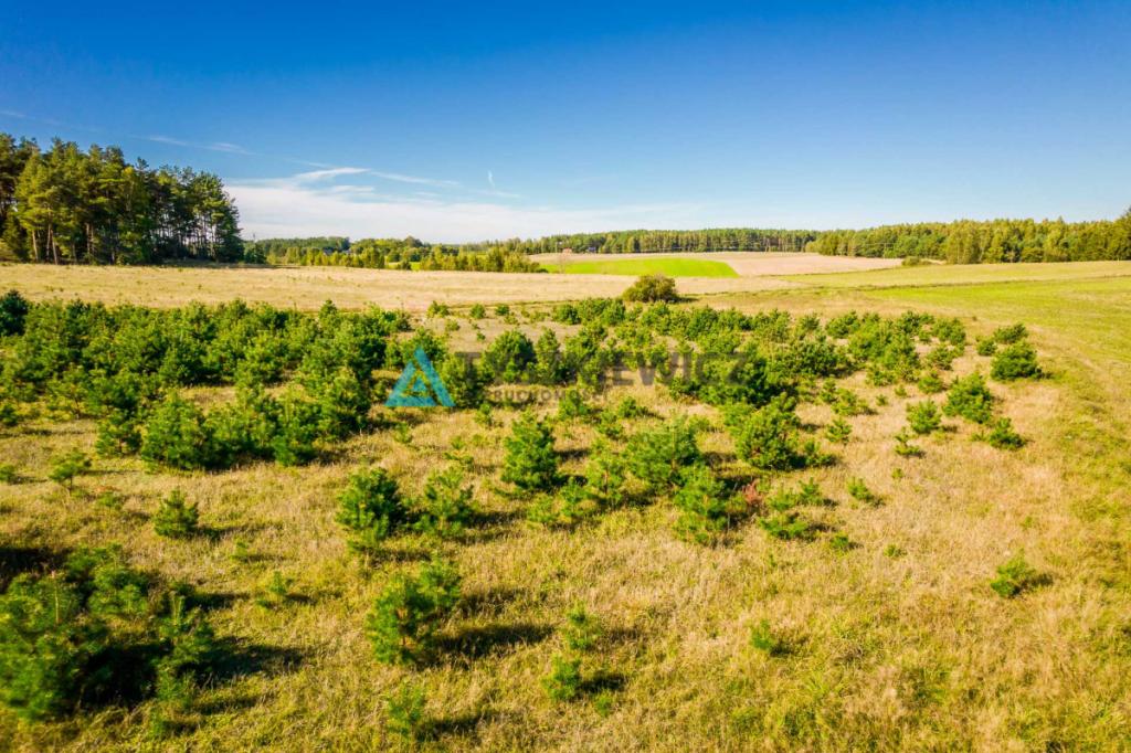 Działka o powierzchni 5,30 ha w gminie Kościerzyna - zdjęcie 13