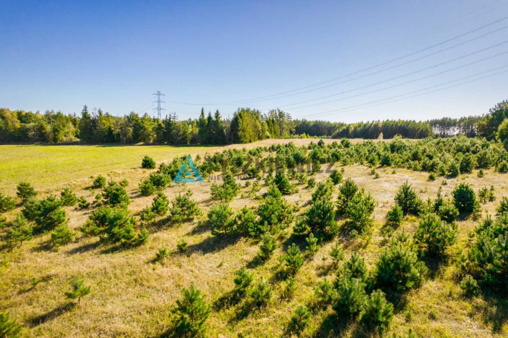 Działka o powierzchni 5,30 ha w gminie Kościerzyna - zdjęcie 4