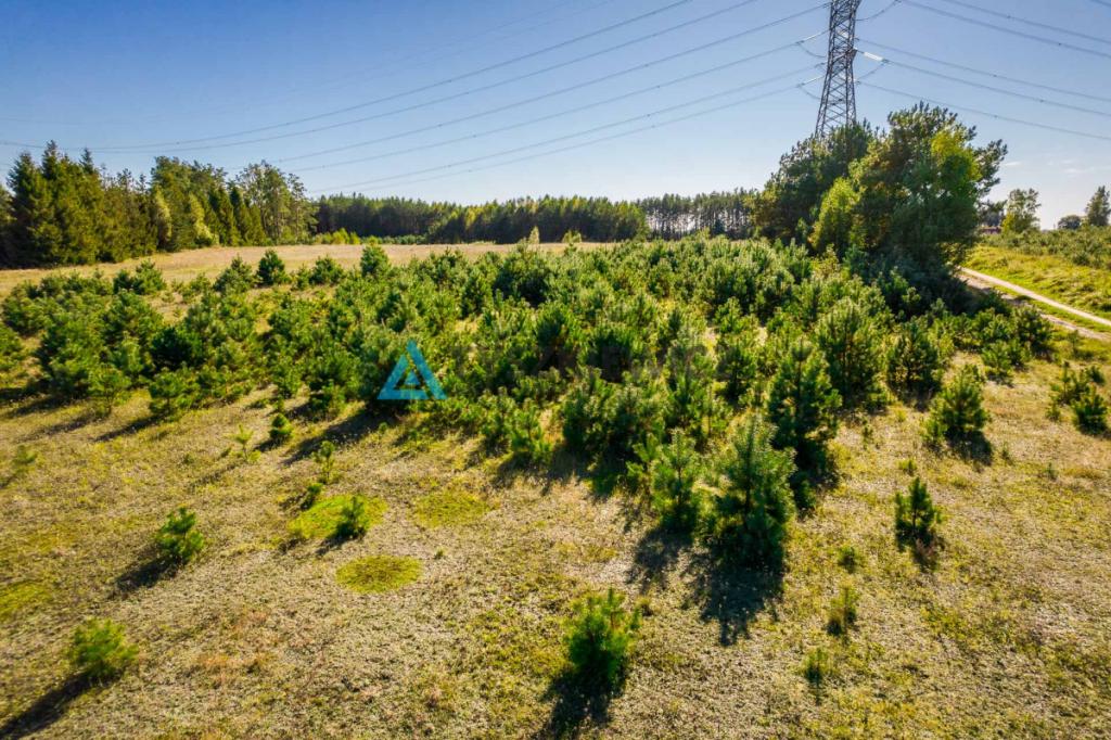 Działka o powierzchni 5,30 ha w gminie Kościerzyna - zdjęcie 6