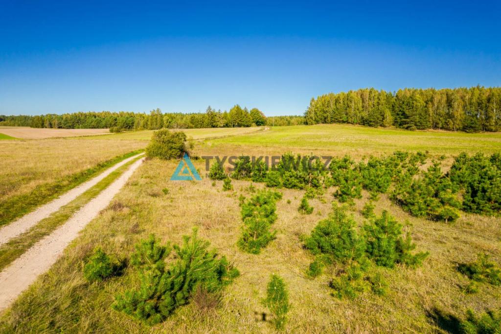 Działka o powierzchni 5,30 ha w gminie Kościerzyna - zdjęcie 3