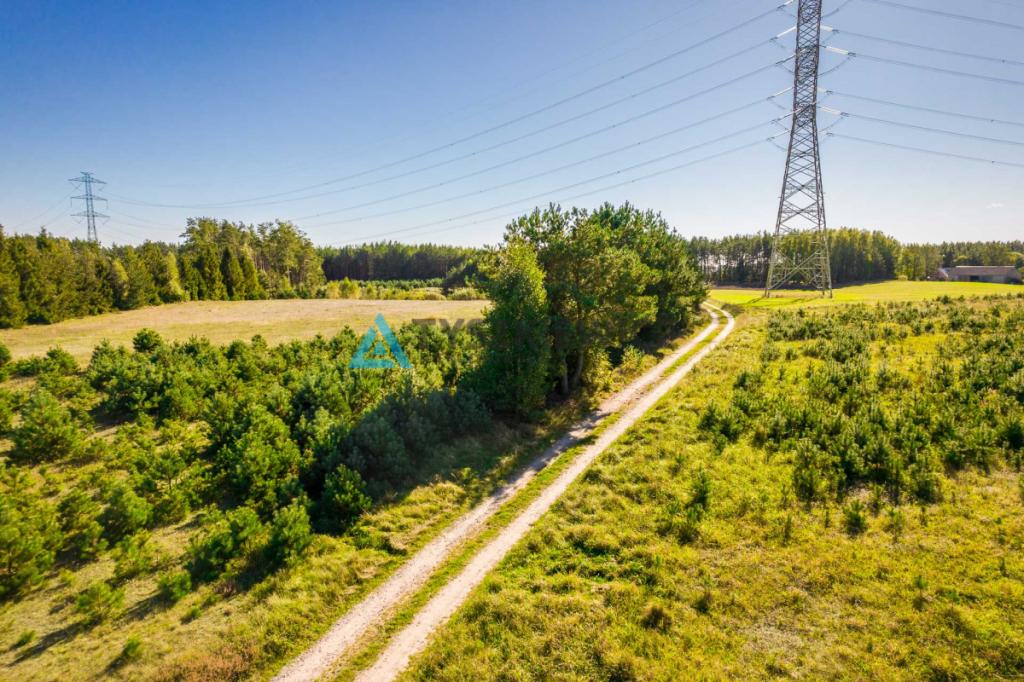 Działka o powierzchni 5,30 ha w gminie Kościerzyna - zdjęcie 11