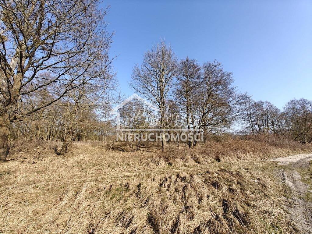 Działka rolna 56,65&nbsp;ha, Stepnica - zdjęcie 4